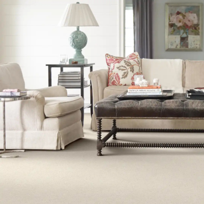 Plush living room carpet for families and pets in Dallas Texas